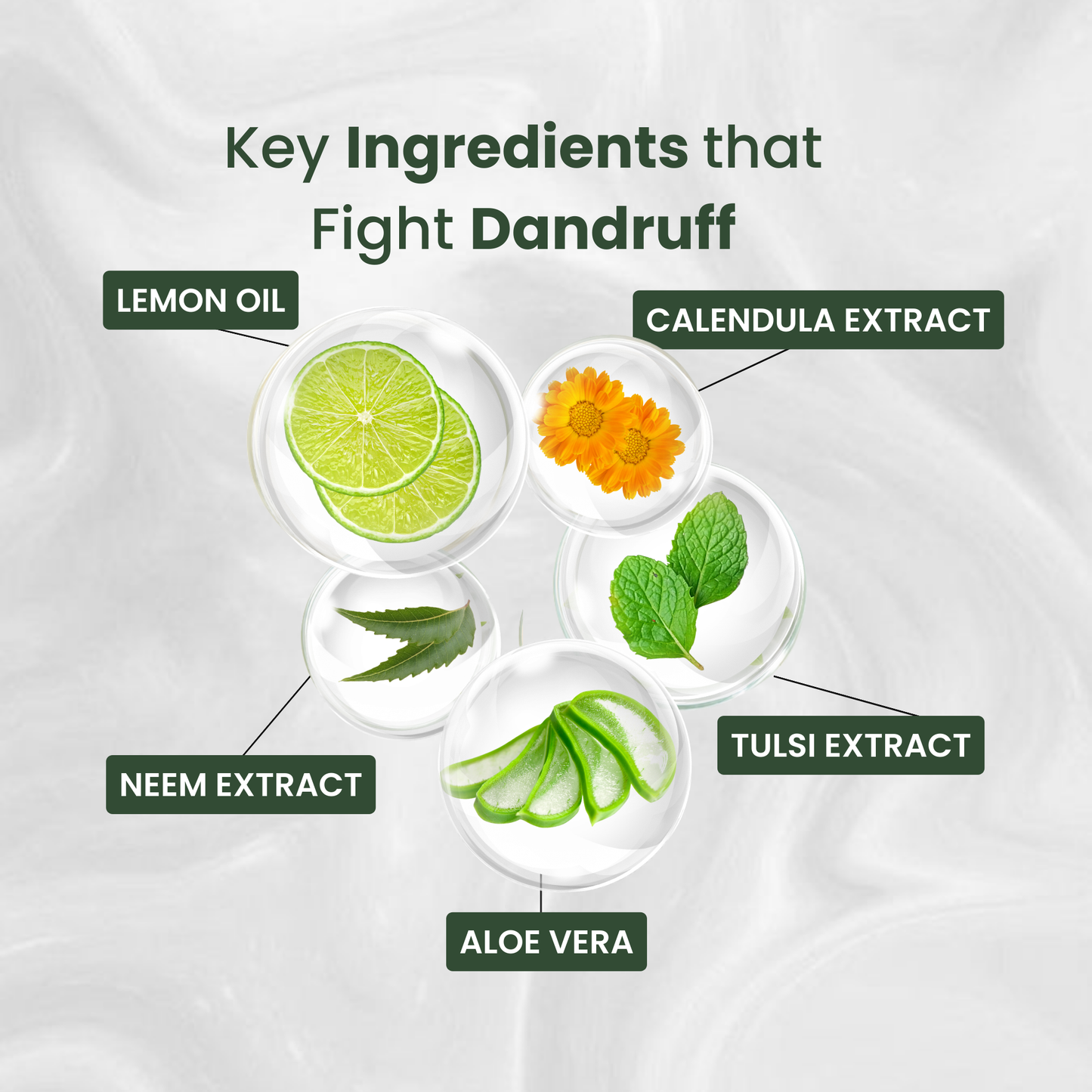 Shuddhalooks Anti-Dandruff Shampoo
